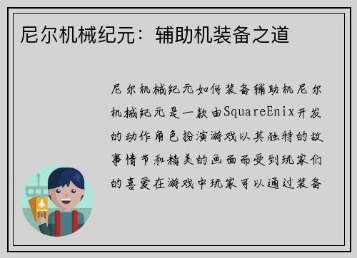 尼尔机械纪元：辅助机装备之道