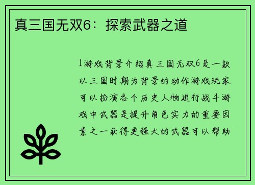 真三国无双6：探索武器之道